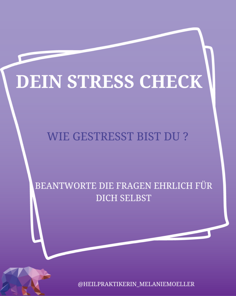 Dein Stress Check, wie gestresst bist du wirklich ?